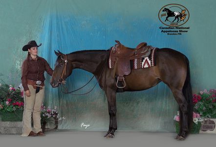 A Rockin Secret Layla