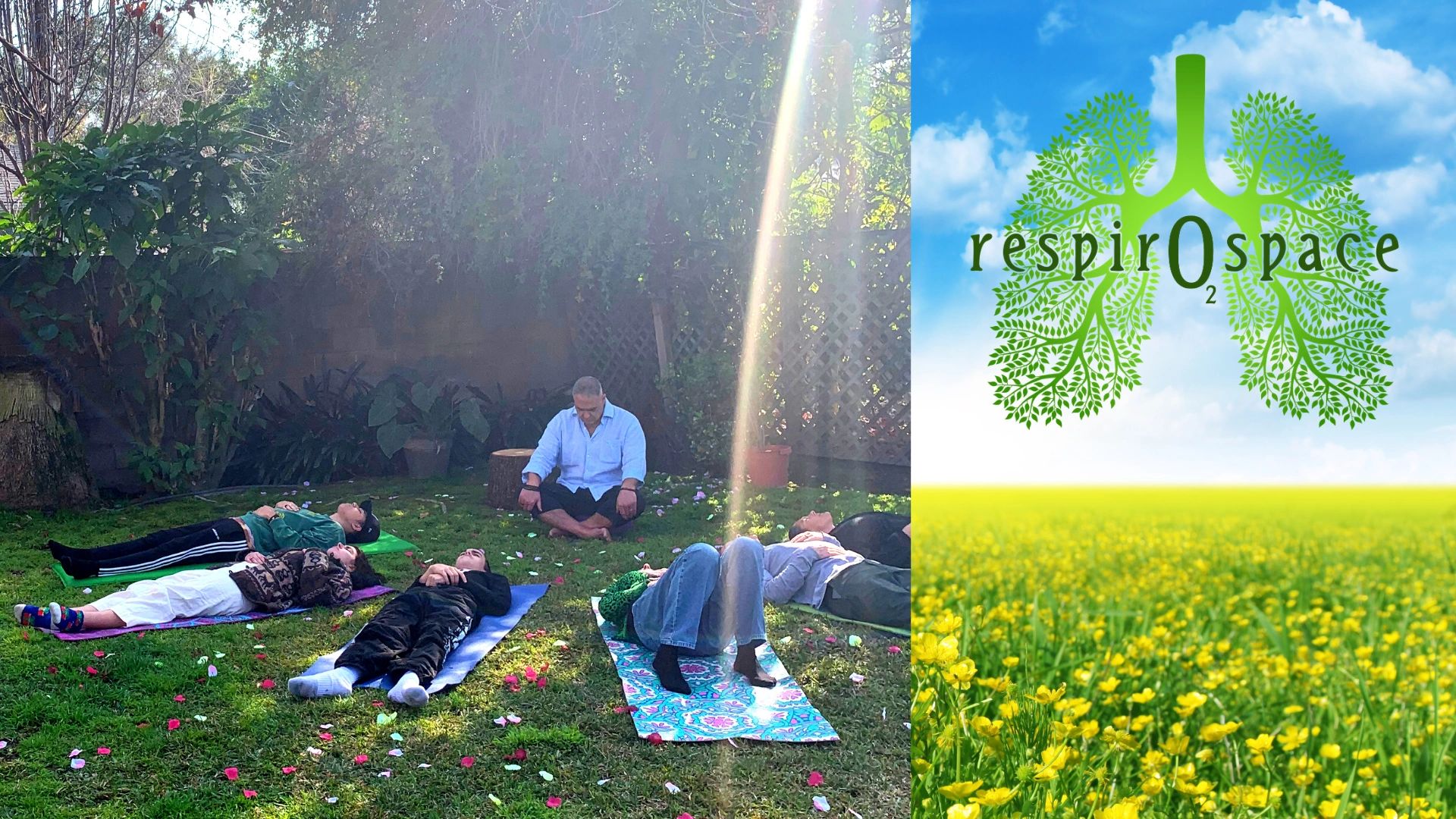 Field of yellow flowers with cloudy blue skies. Six people lying on yoga mats on the grass 