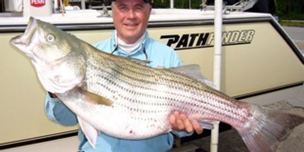 32 pound striped bass caught on Lake Murray, South Carolina