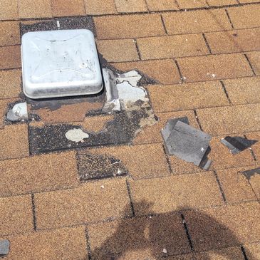 Animal Damage shingles Michigan