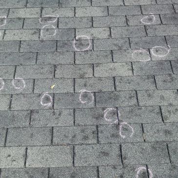 Hail Damage Shingles Michigan