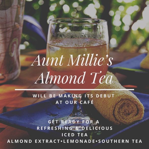 Aunt Millie's Almond Tea infographic