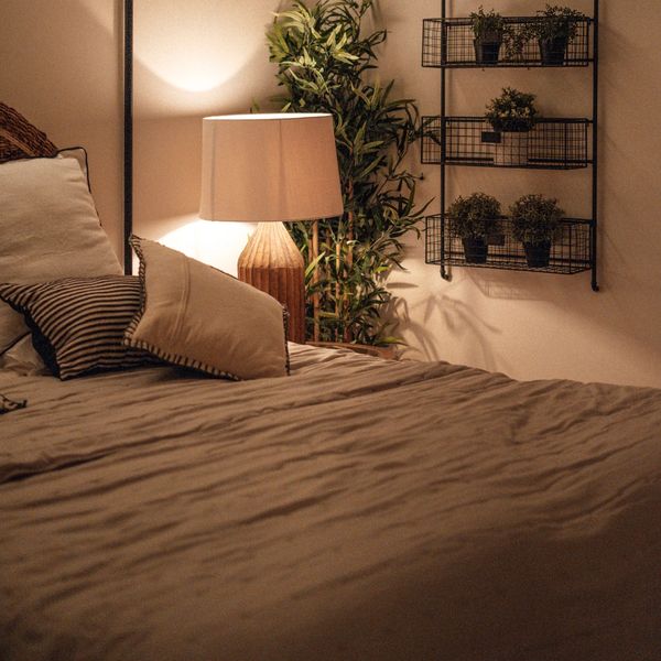 Cozy bedroom corner with a lamp, pillows, and wall-mounted plants.