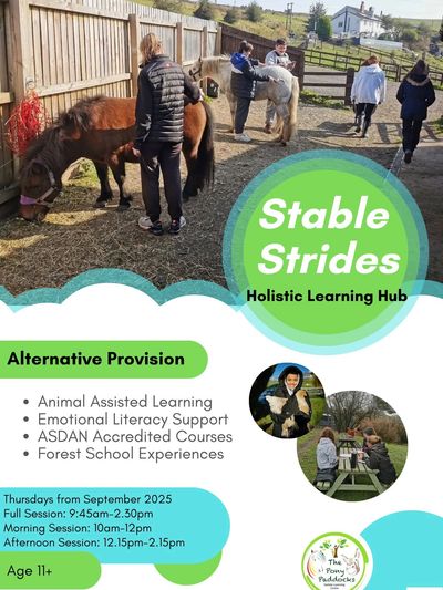 Children engage in animal-assisted learning at Stable Strides Holistic Learning Hub.
