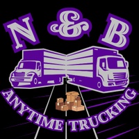 N&B ANYTIME TRUCKING 