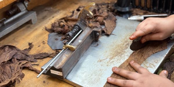 Hands working with dried tobacco leaves and a wooden tool.