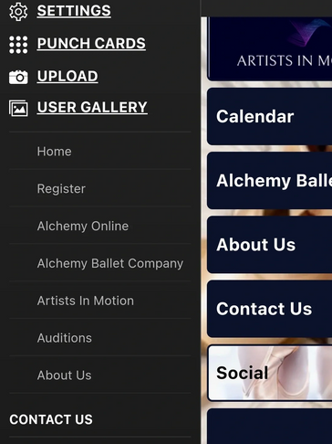 Tap the "Punch Cards" Option at the top left of the pop-out menu.
