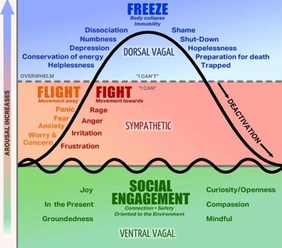 POLYVAGAL THEORY IN TRAUMA RECOVERY