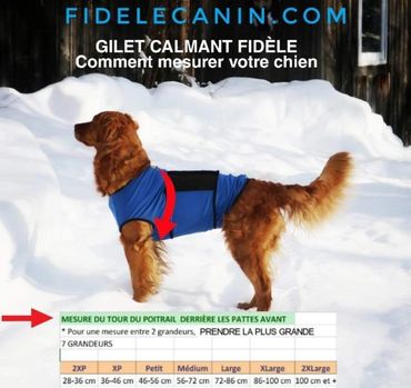Gilet calmant FIDÈLE