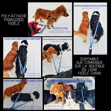 Poly attache FIDÈLE