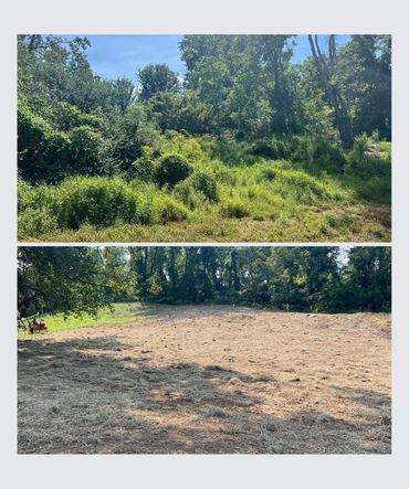 Clearing and seeding