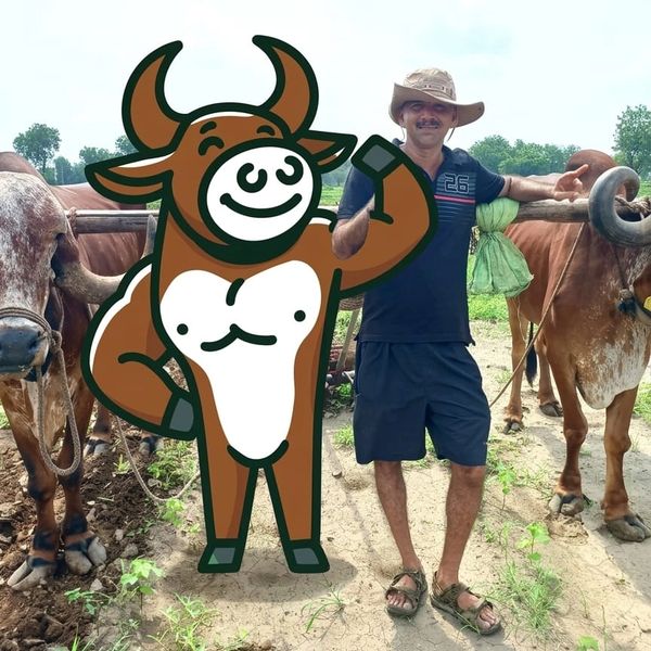 30th Oct, 2024 Onwards