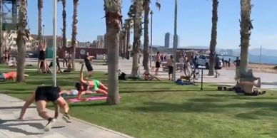 Diseño, implementación y seguimiento de entrenamiento deportivo para todas las disciplinas, personal
