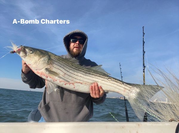 Capt Mike with a nice Striper - Atlantic City Fishing charter 