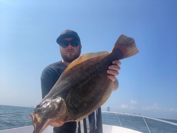 Big flounder in Atlantic City. Charter boat fishing 