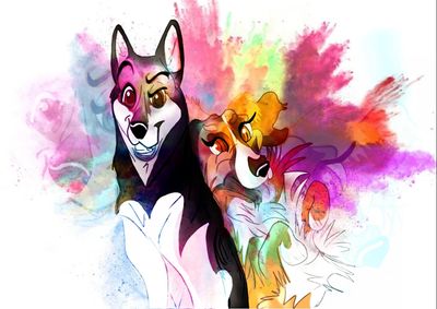 zwei Hunde mit einer Farbexposion