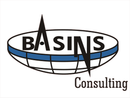 Basins Geoscience Consulting