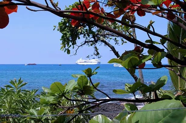 Cruise ship sailing Hawaiian waters with palm trees on a 7-day inter-island Hawaii cruise package.