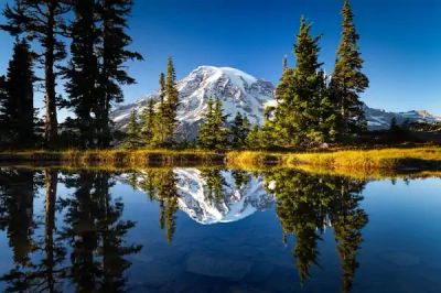 Mount Rainier National Park alpine wildflower meadow Washington