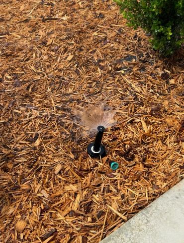 Lawn sprinkler watering mulch bed with plants.