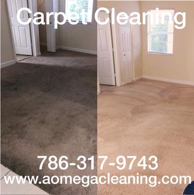 carpet cleaning services from aomegacleaning.com
