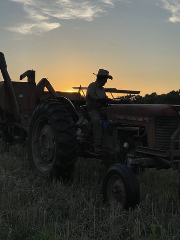 Our Allis-Chalmers Allcrop combine used to harvest Rouge de Bordeaux heirloom wheat.