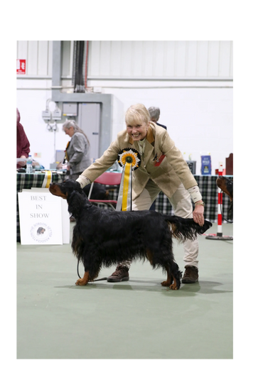 BIS
Moonglade Lily Mae Magic