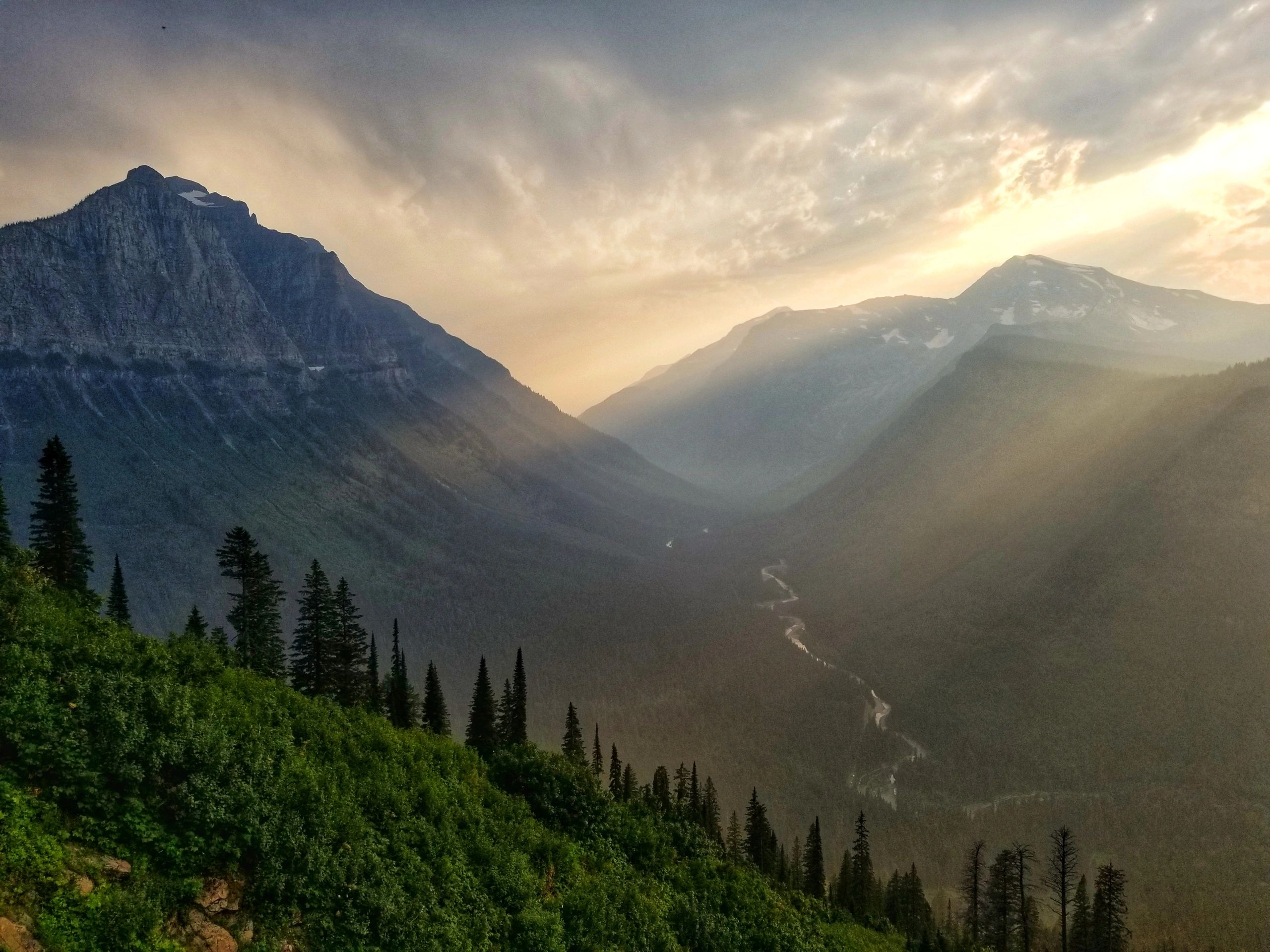 Allow a loved one to pick their own favorite or treat yourself to a gift card for future use!