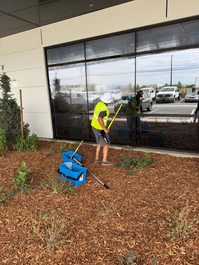 Worker cleaning large glass window outside a building.