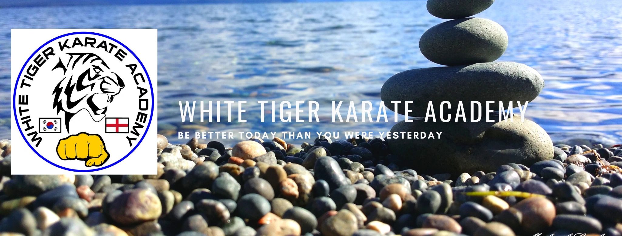 white tiger karate .martial arts for adults and children