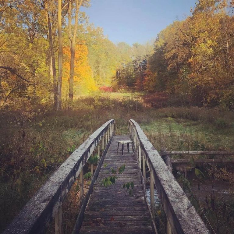 Photo taken by Jen Heard at Tyler Creek, Alto, MI. Title: Simplicity.