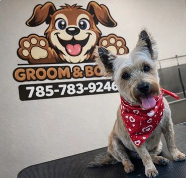 A happy dog with a red heart-patterned bandana sits near a grooming salon sign.