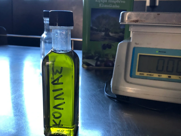 Kollias extra virgin olive oil sample being sent to laboratory