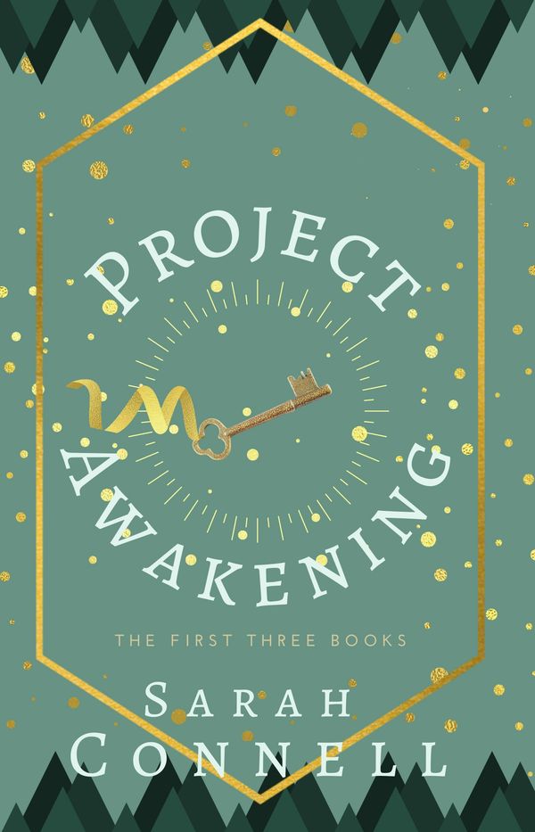 Book cover of Project Awakening by Sarah Connell.