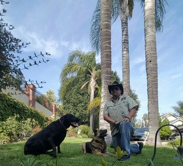 Master Dog Trainer with well behaved dogs