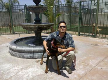 Dog training your dog to protect.