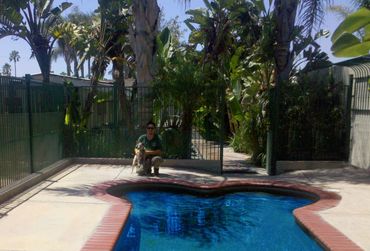 Dog Trainer Training Dog to behave and be safe