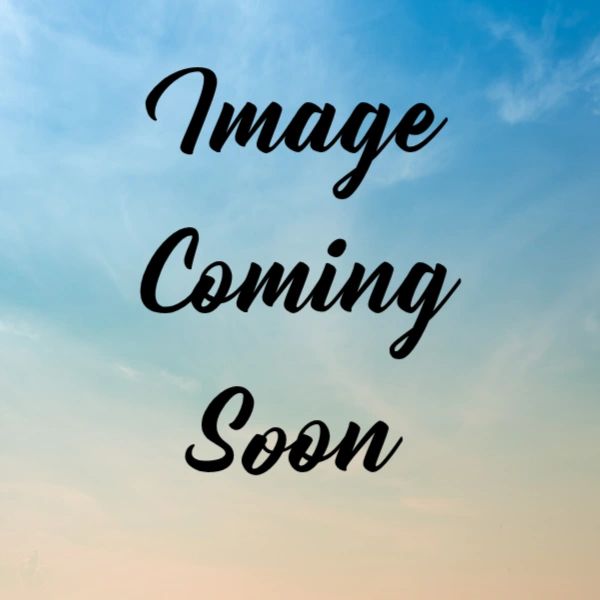 Placeholder image with text 'Image Coming Soon' on a sky background.
