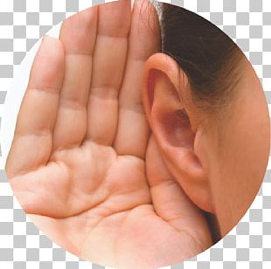 image22