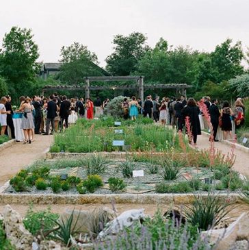 Lady Bird Johnson Wildflowers Austin Hill Country RV Park Air Field XS12
