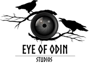 Eye Of Odin Studios