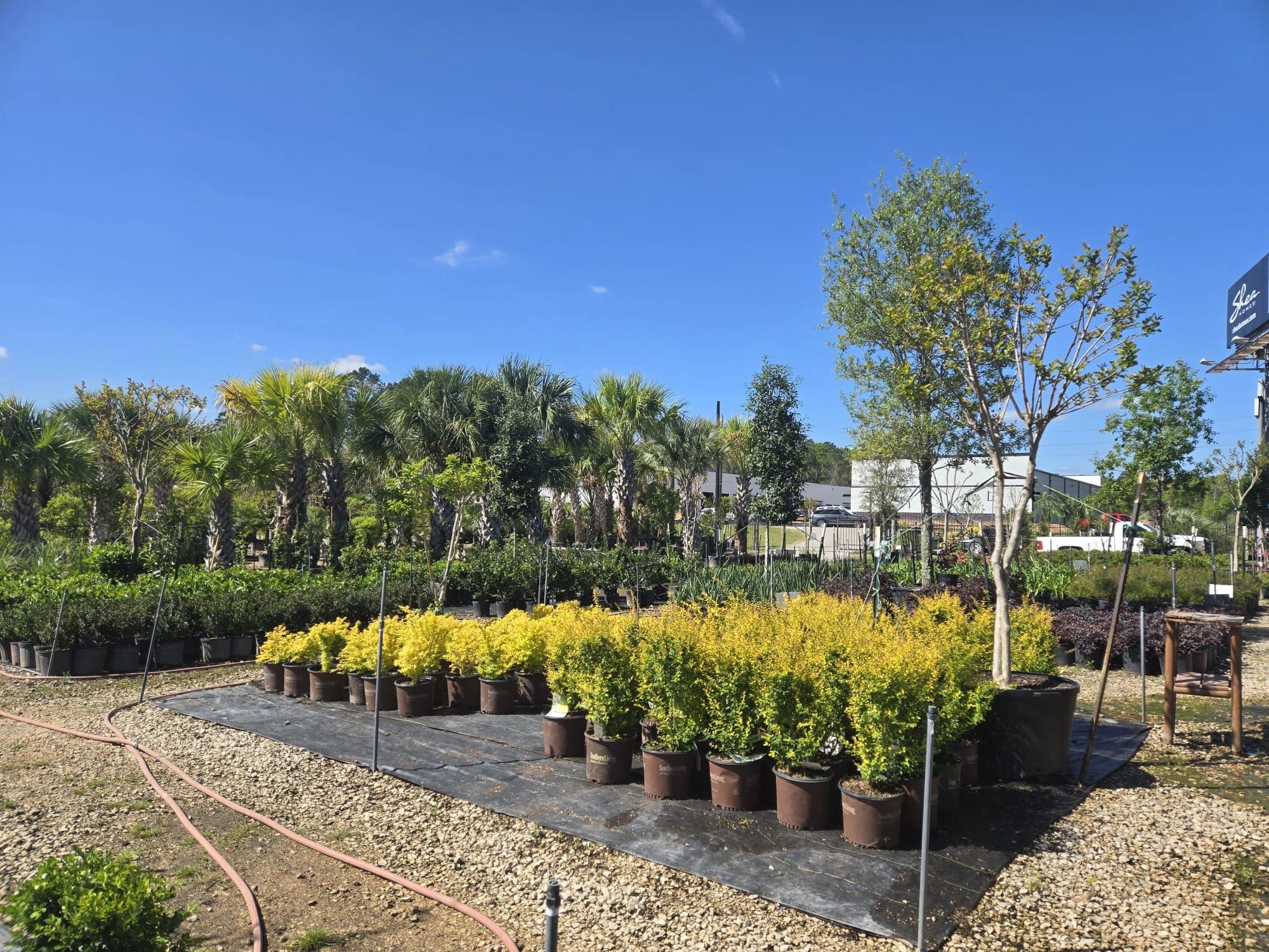 Tree Valley Nursery: All Your Gardening Needs