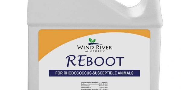Wind River Microbes REBOOT for Rhodococcus-susceptible animals in a white container.