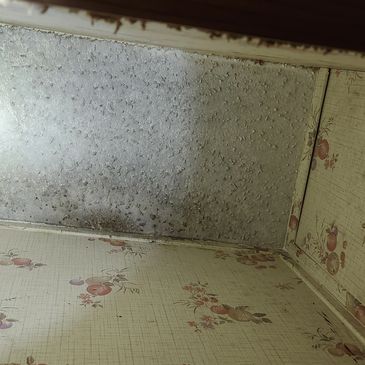 Hidden mold growth on closet ceiling