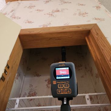 Protimeter Reachmaster moisture meter showing elevated moisture readings