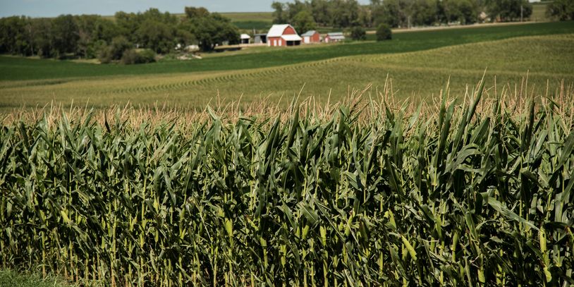 Beautiful farmland and barn photo taken in Valley, Nebraska.