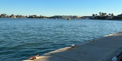 Calm waterfront view with a concrete dock and distant buildings under clear blue sky.