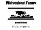 Whisenhunt Farms