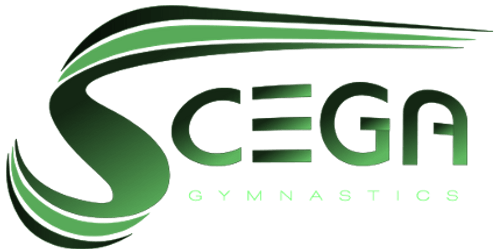 Welcome to SCEGA Gymnastics