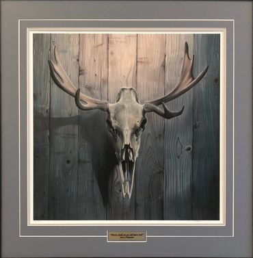 Framed art. Moose Skull on yee old barn wall by Alex L'Heureux.